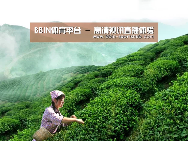 BBIN体育平台 - 高清视讯直播体验