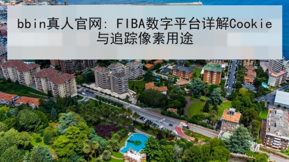 bbin真人官网: FIBA数字平台详解Cookie与追踪像素用途