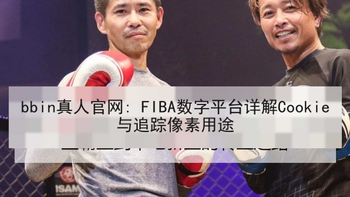 bbin真人官网: FIBA数字平台详解Cookie与追踪像素用途