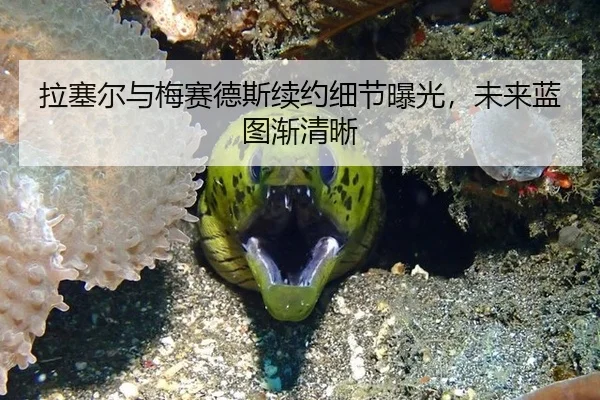 拉塞尔与梅赛德斯续约细节曝光，未来蓝图渐清晰