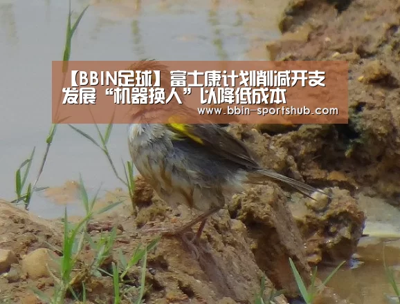 【BBIN足球】富士康计划削减开支 发展“机器换人”以降低成本(图3) BBIN足球